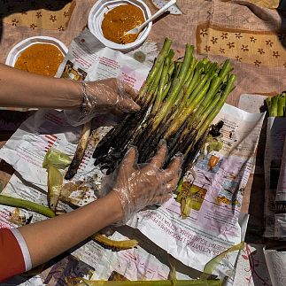 Cultura y gastronomía